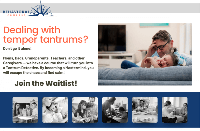 temper tantrum mastermind class waitlist Join the Temper Tantrums Mastermind Class Waitlist.
